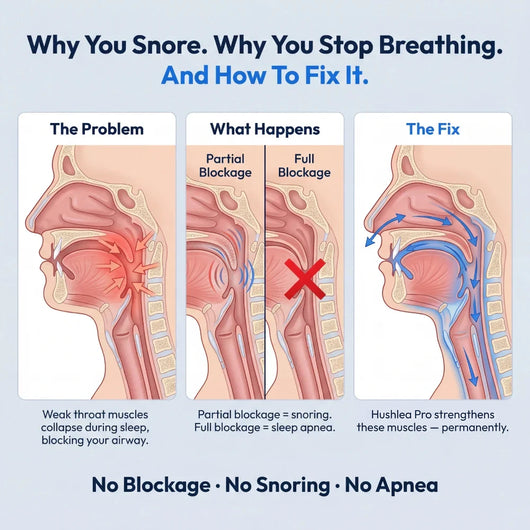 Hushlea Pro diagram: why you snore and how to fix it